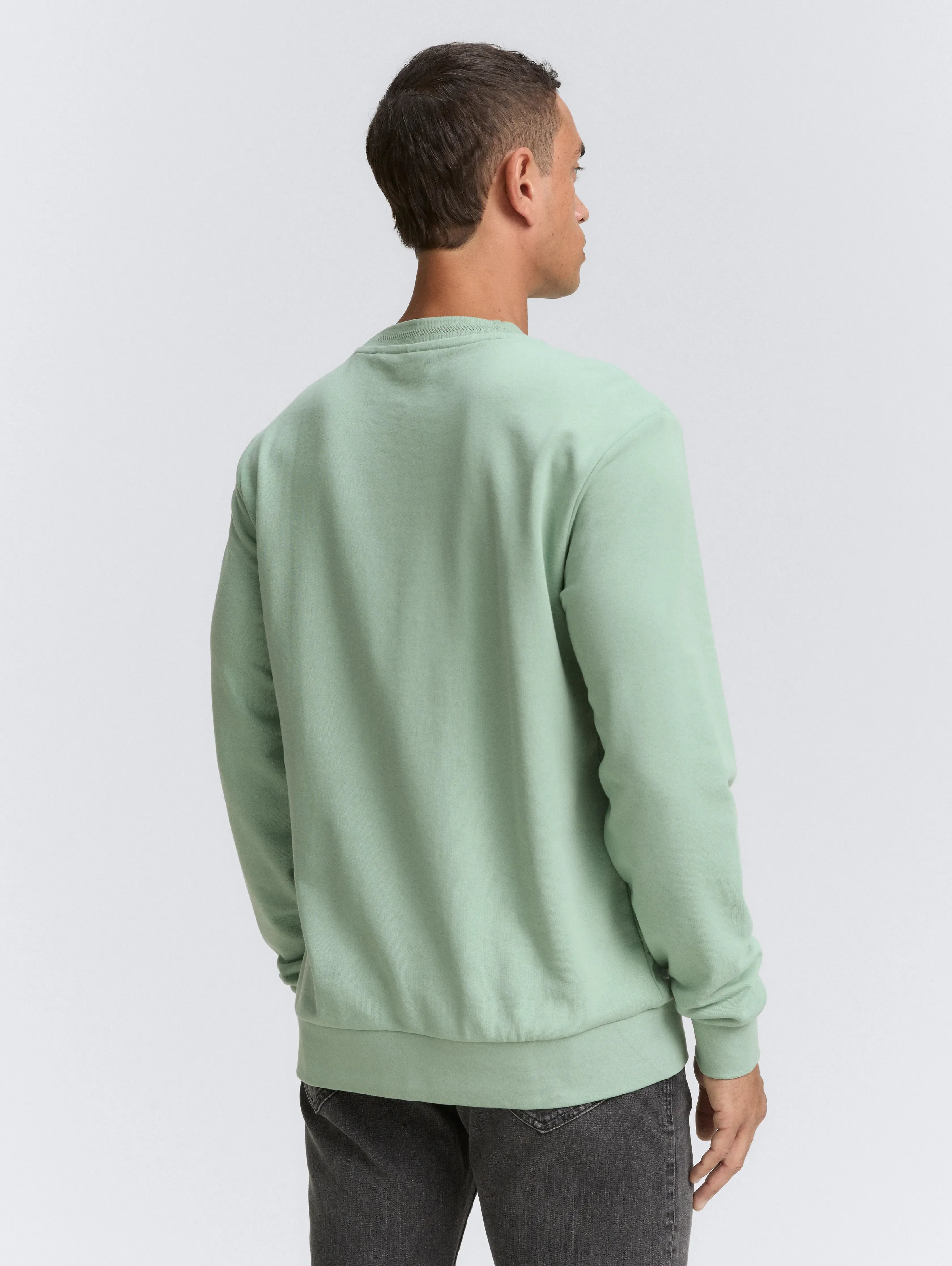 Tom Tailor_0_Crewneck Sweatshirt with Logo Print_1047784_22577_04