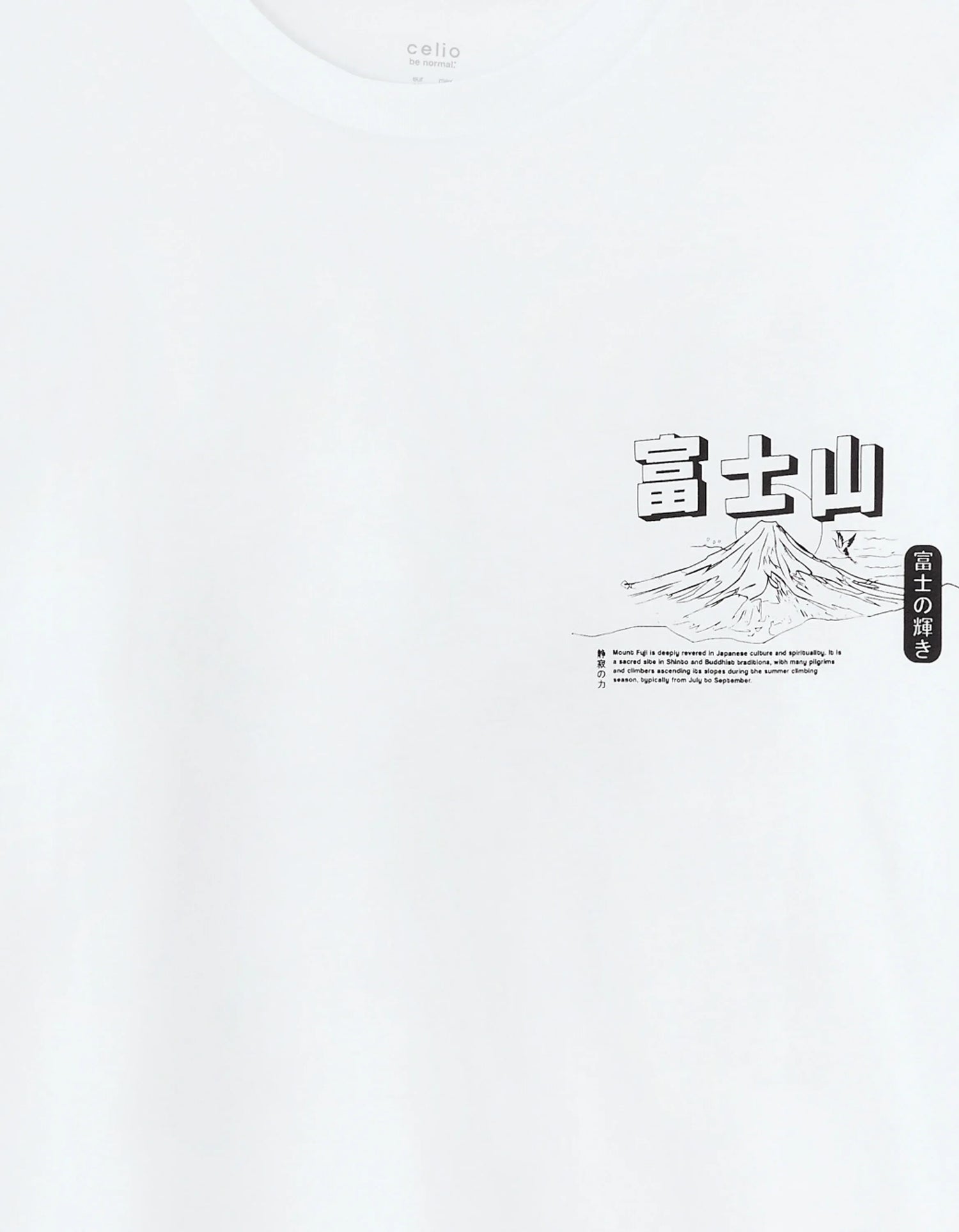 Celio_Optical White_Oversized Round Neck T-Shirt 100% Cotton Asian Print_MEMOUNTAIN_OPTICAL WHITE_05